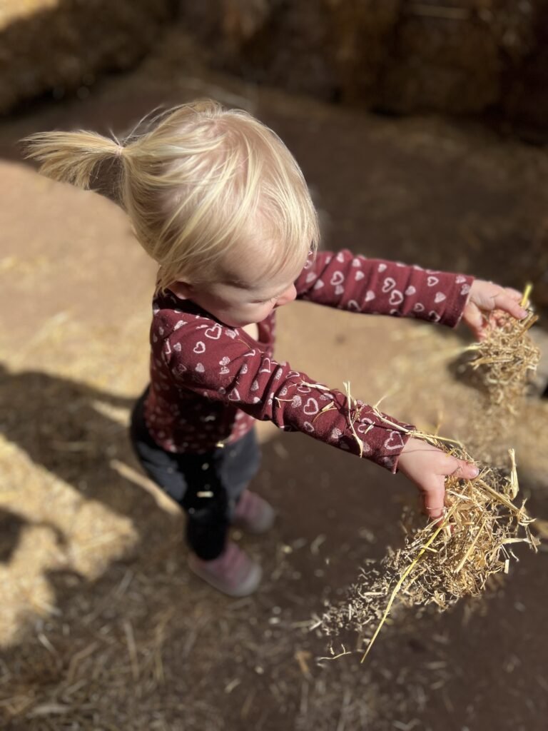Playing in the hay in the middle of the maze during our annual pumpkin patch trip.